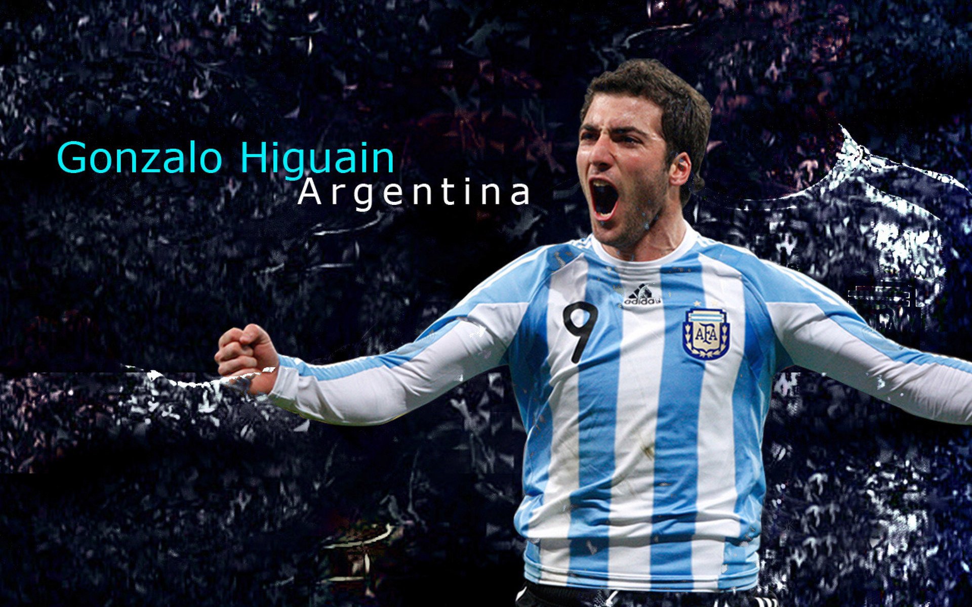 纽卡斯尔喷气机对惠灵顿凤凰最新消息